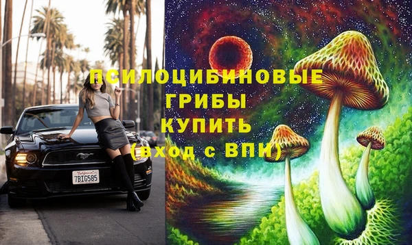 Альфа ПВП Баксан