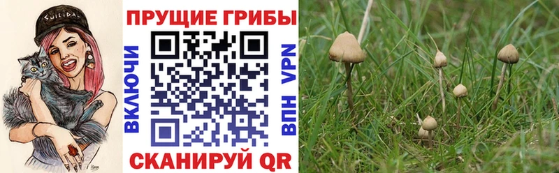 Галлюциногенные грибы Cubensis  ссылка на мегу сайт  Наро-Фоминск 